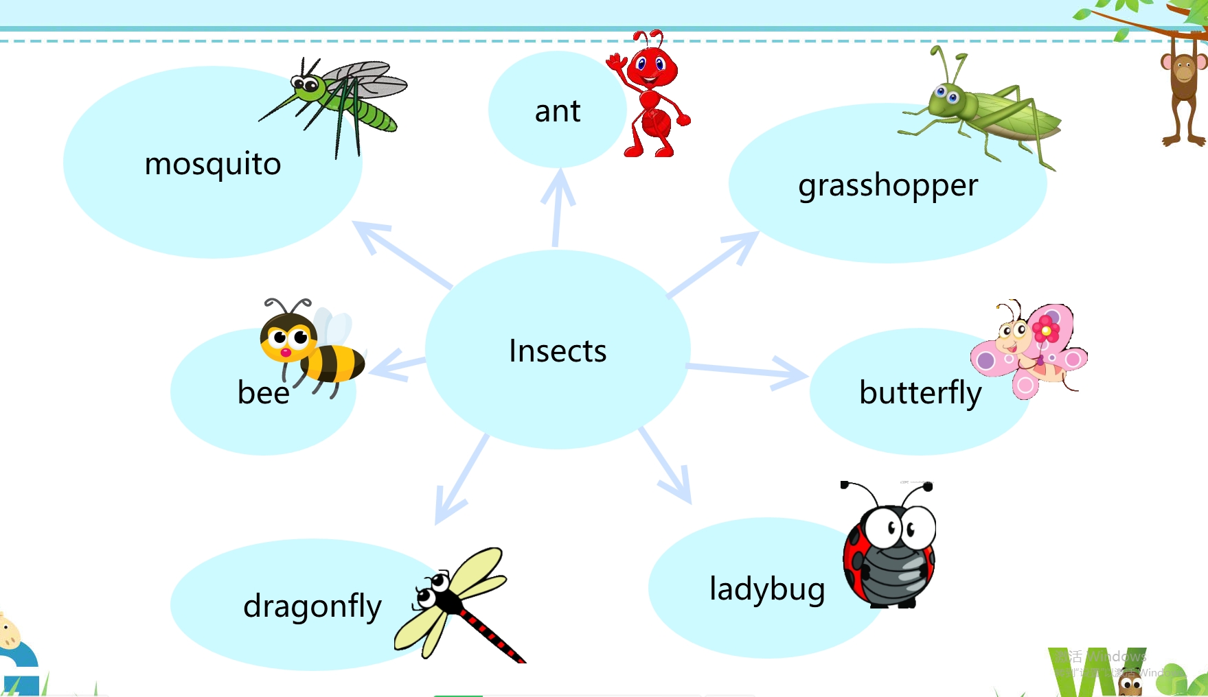 中大班 第八周 第一节 insects