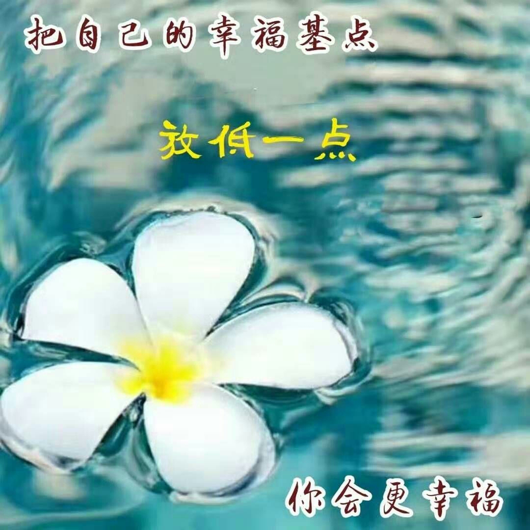 【每日一慧】你理解别人才会得到别人的宽容.