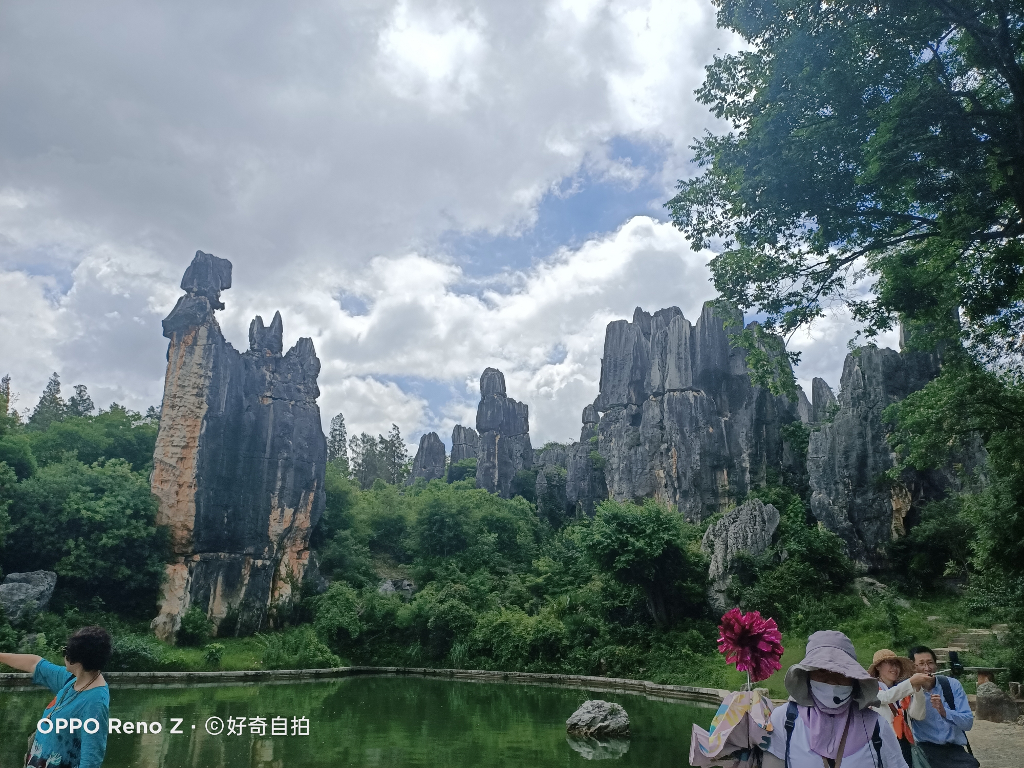 昆明市石林风景区,喀斯特地貌,5a景区,被誉为"天下第一奇观,列入《世