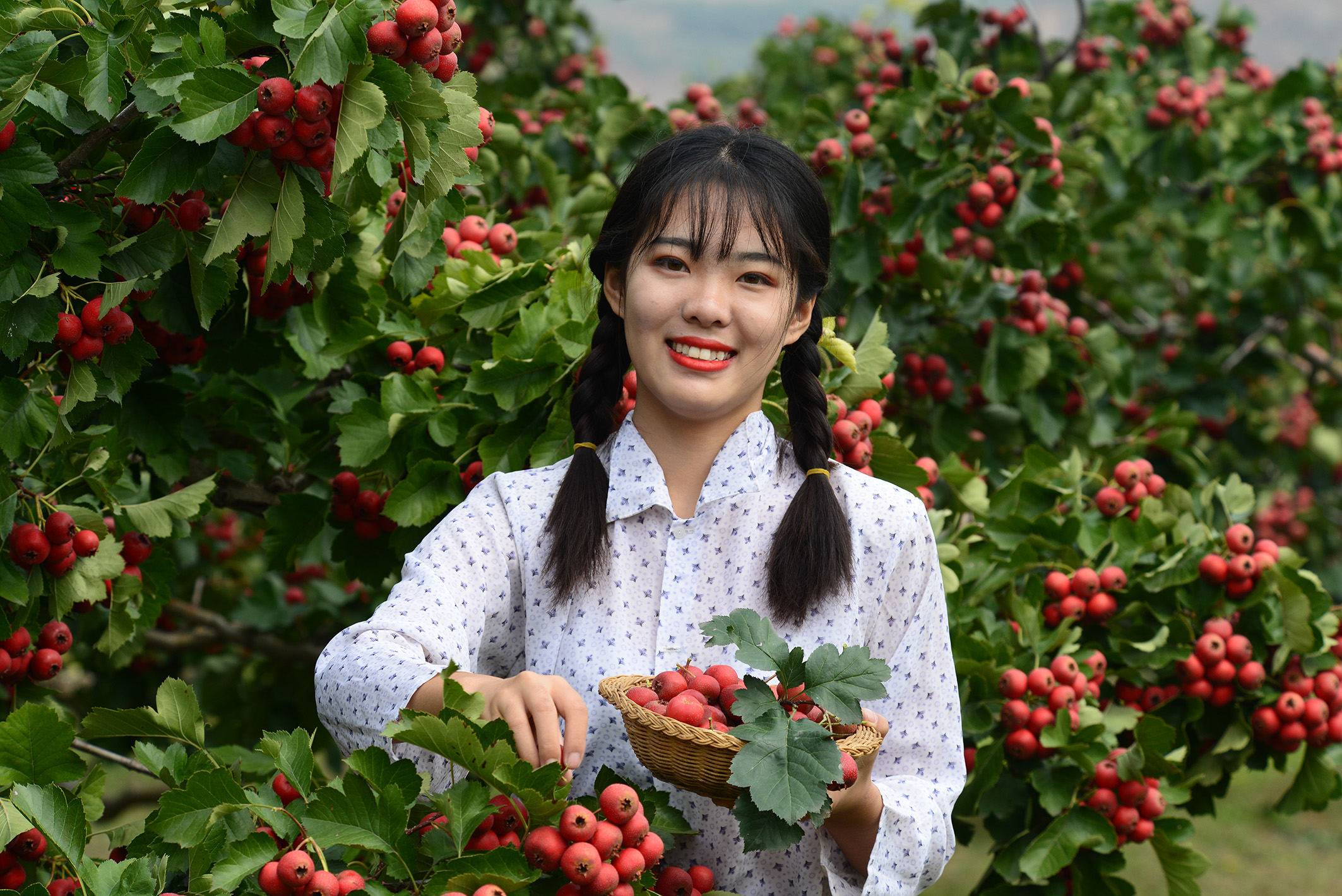 人像摄影:硕果累累——红山楂