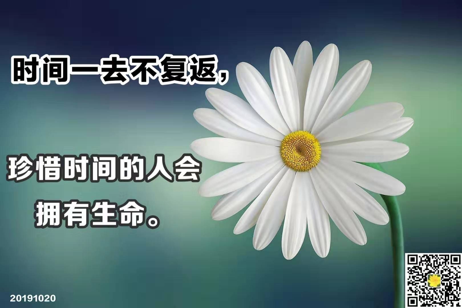 修心要修清静心,清静心比什么都重要