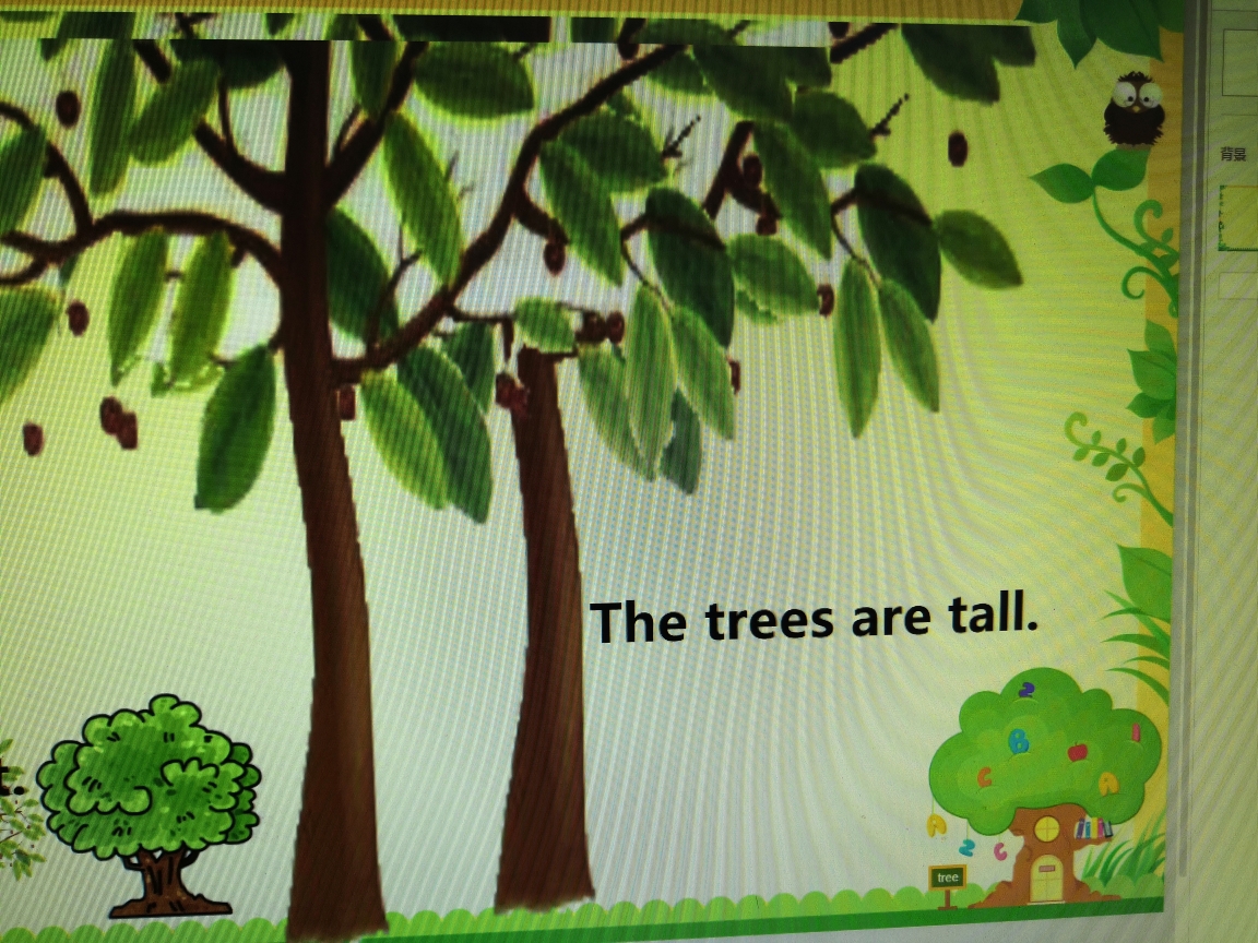tall short small big