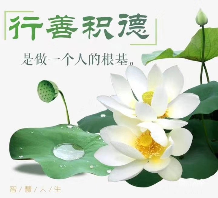 一善解百灾