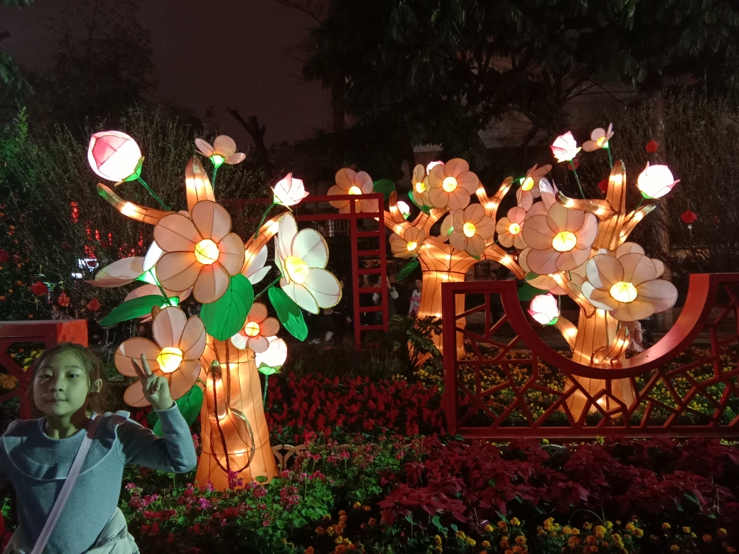 3万老广挤爆广州文化公园,观看2019元宵花灯