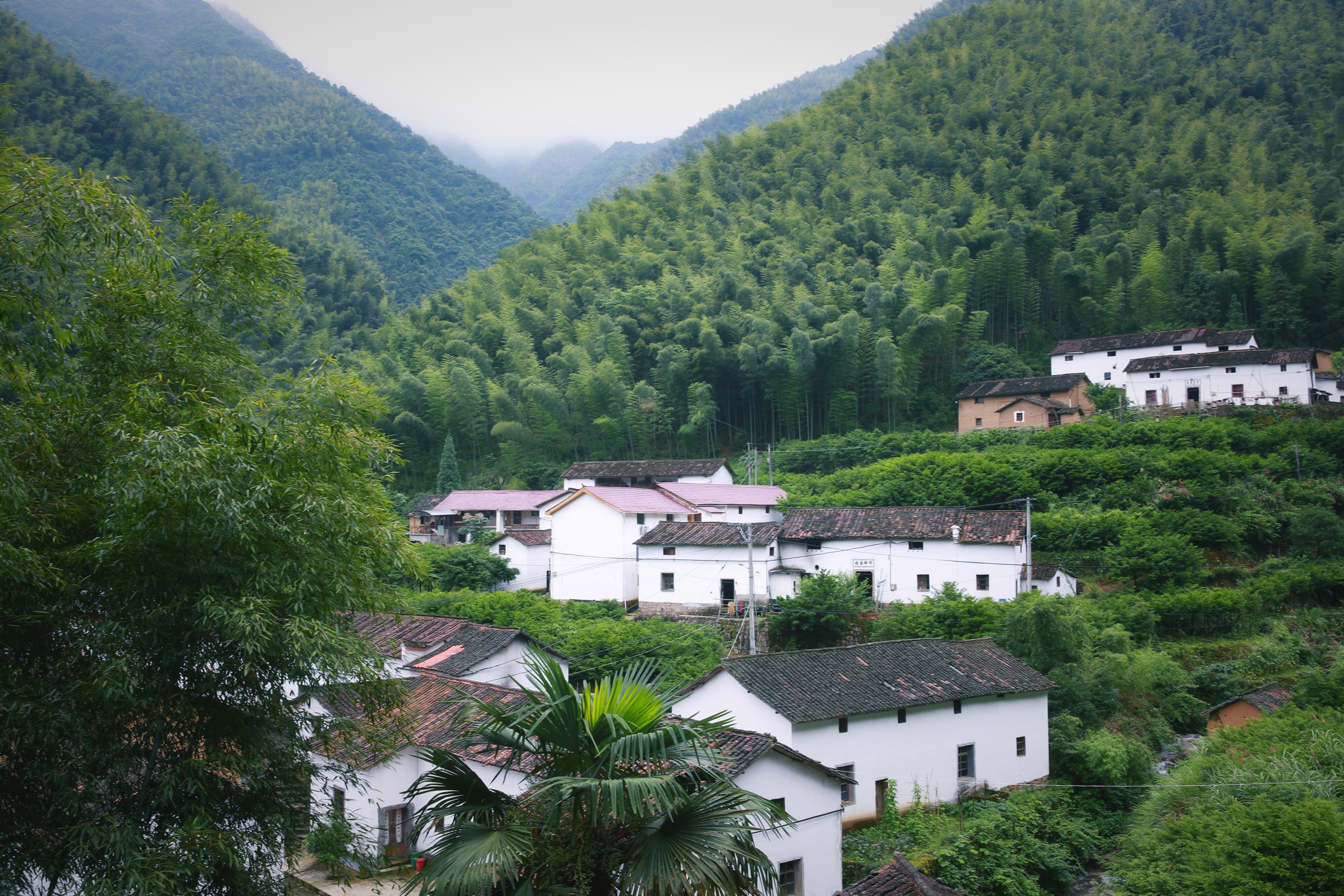 《美丽山村待君来》革命老区塔石乡上南坑村行记