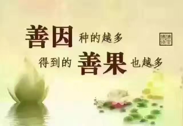 一善解百灾