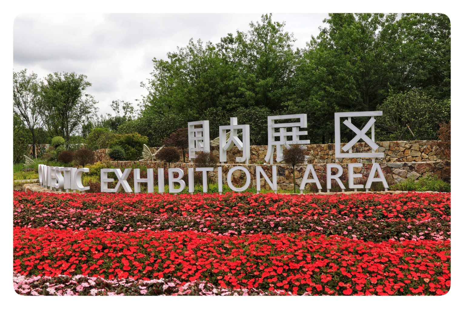 相遇2021上海崇明中国国际花博会