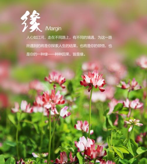 缘分  