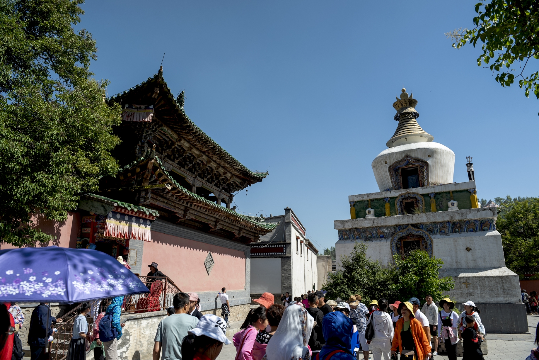 塔尔寺位于青海省西宁市湟中县鲁沙尔镇西南隅的莲花坳中,是