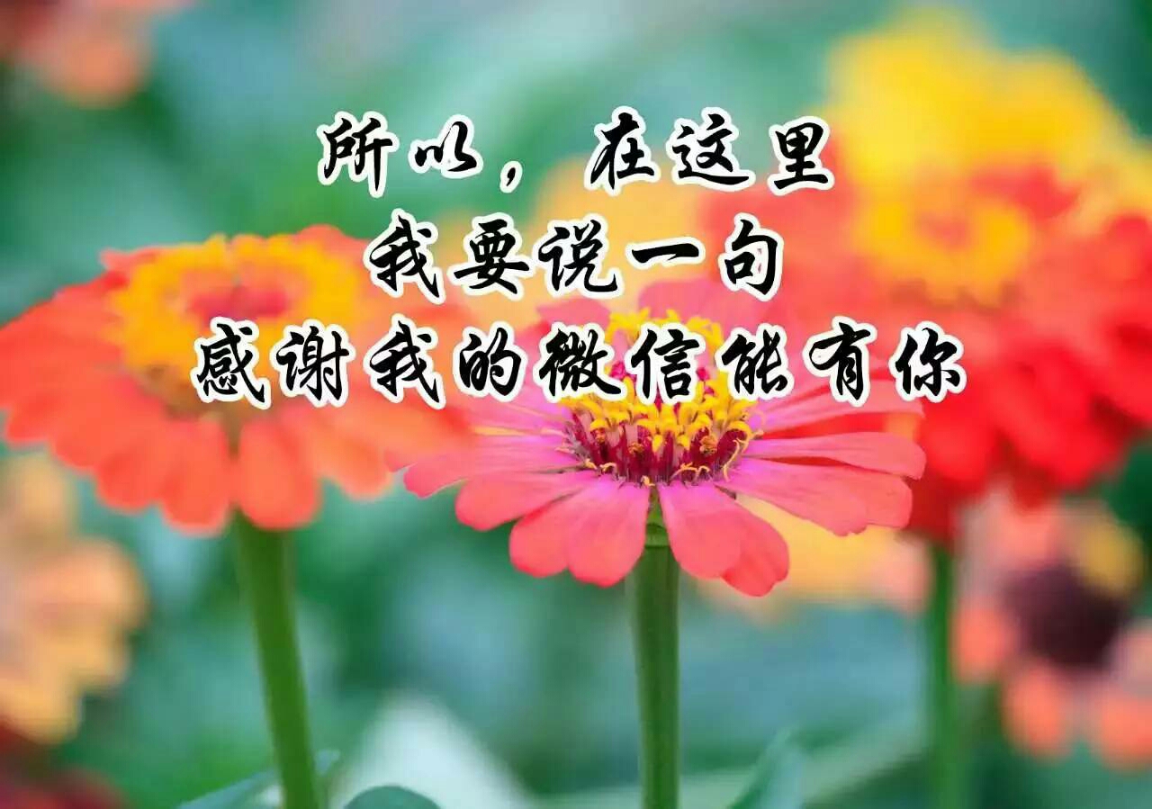 输与赢!输的是我,赢的不是你