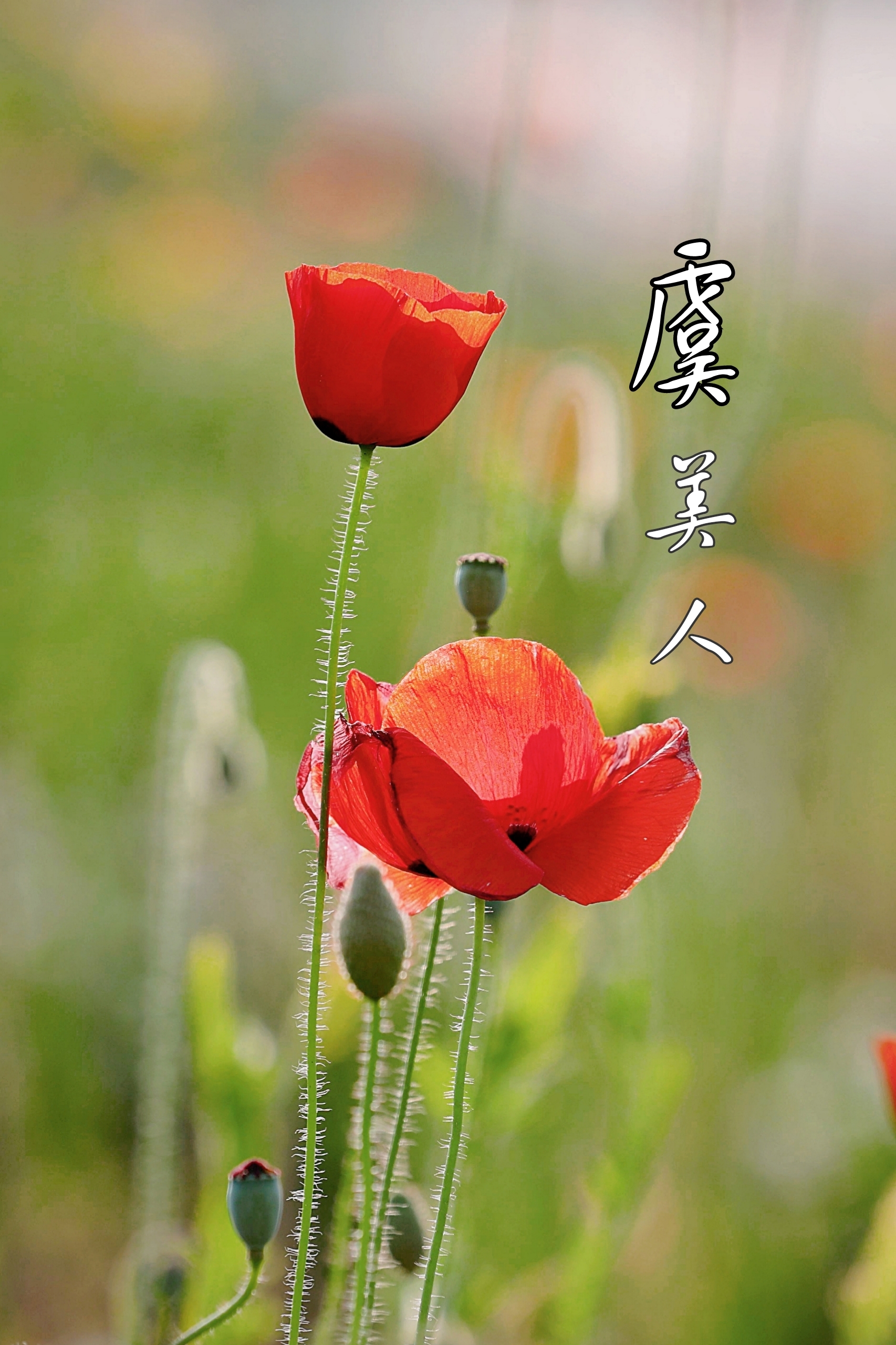 是个位小朋友鸭