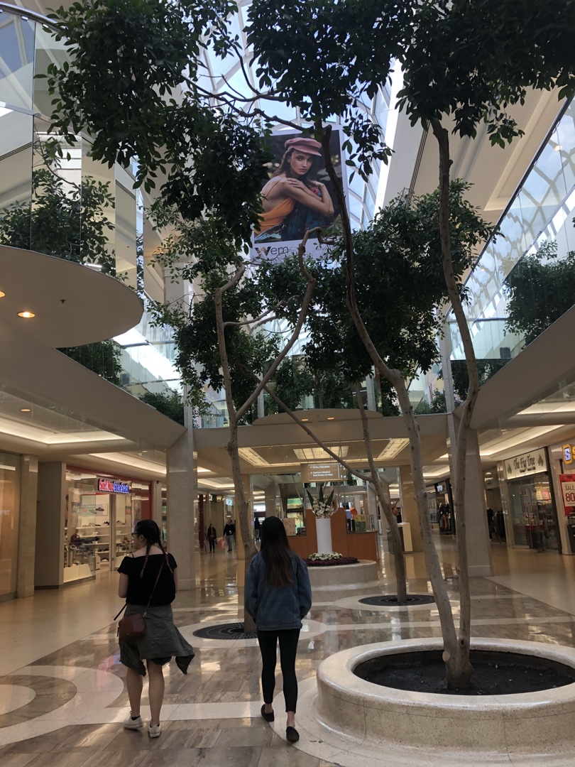 欢乐尽在西埃德蒙顿购物中心(west edmonton mall)