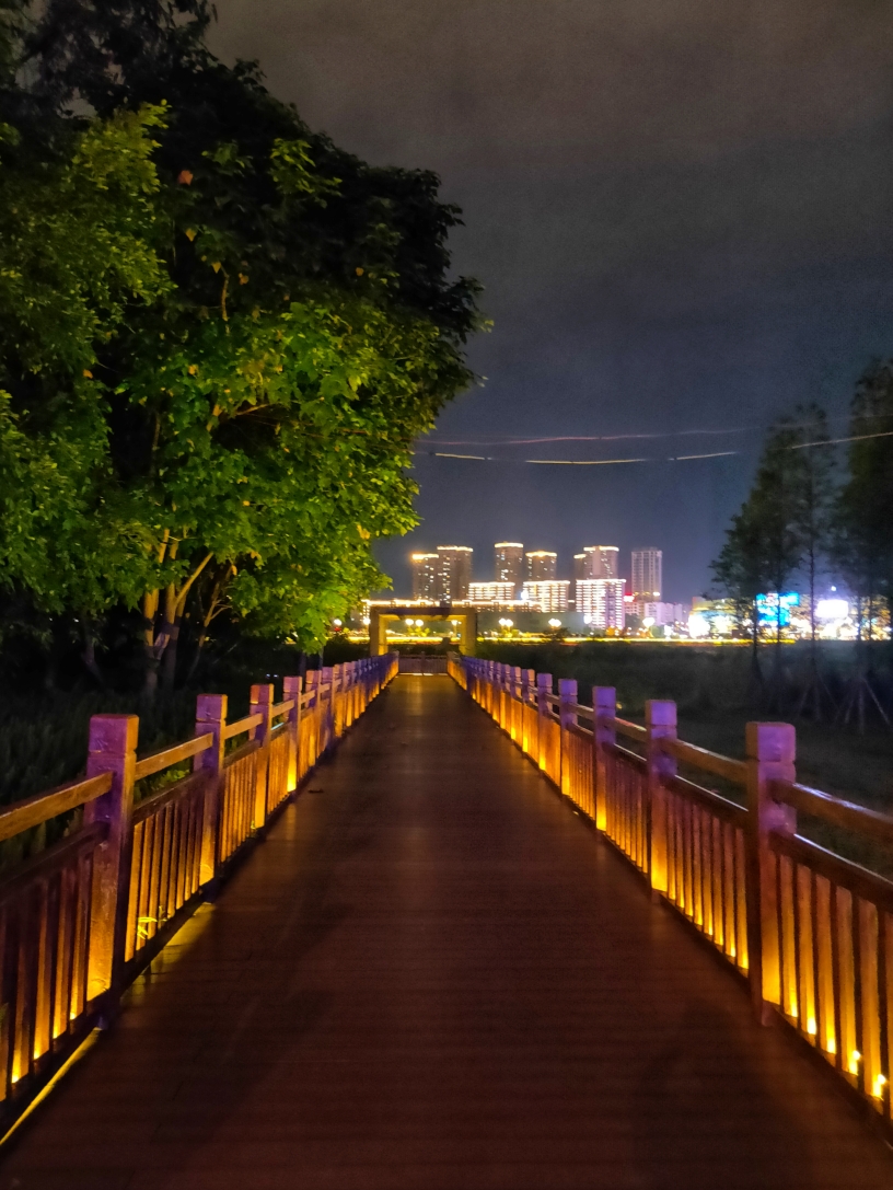 南充印象嘉陵江湿地公园夜景(手机版)完稿于5,10日.
