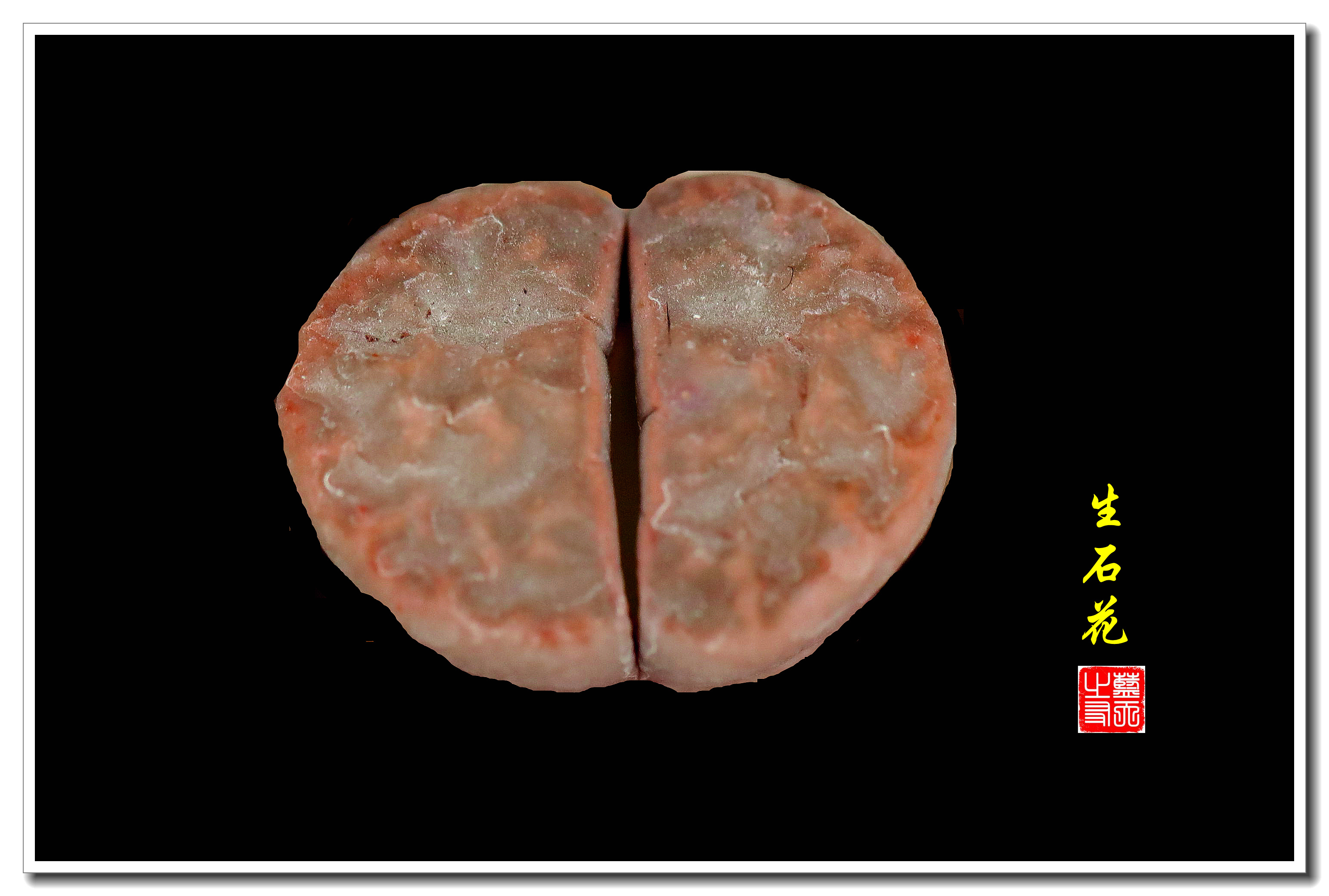 【首发】有生命的石头·石生花