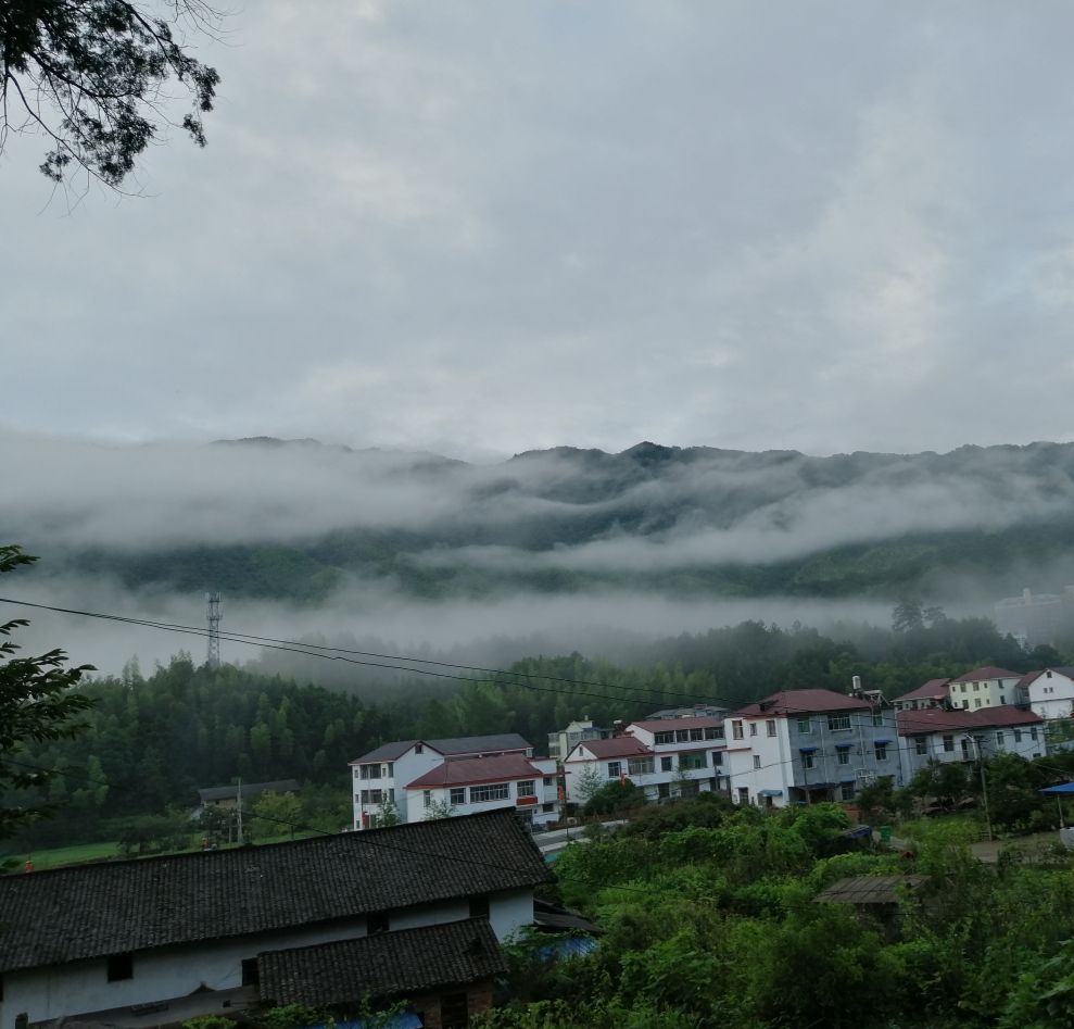 江西省靖安县中源乡三坪村休闲避暑地的美景