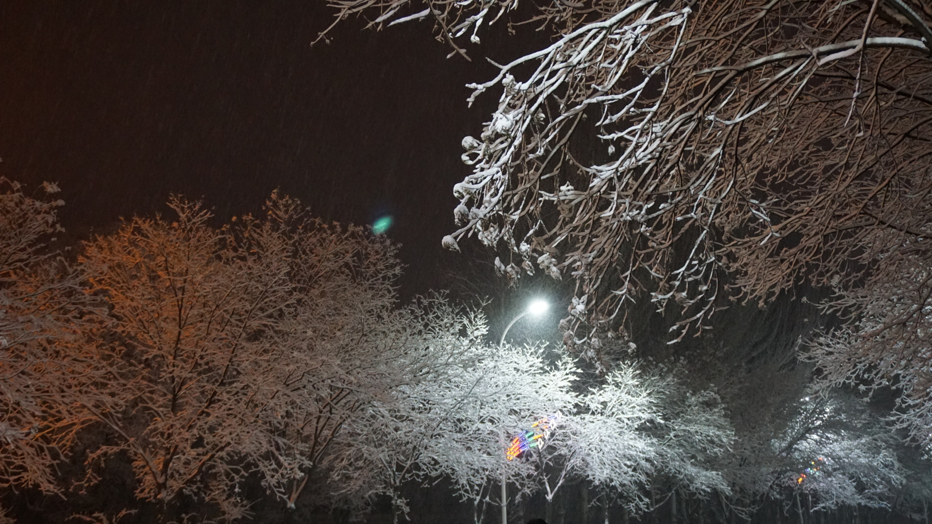 神二雪景之夜/梅花爱雪雪不知,开在雪中做情痴.