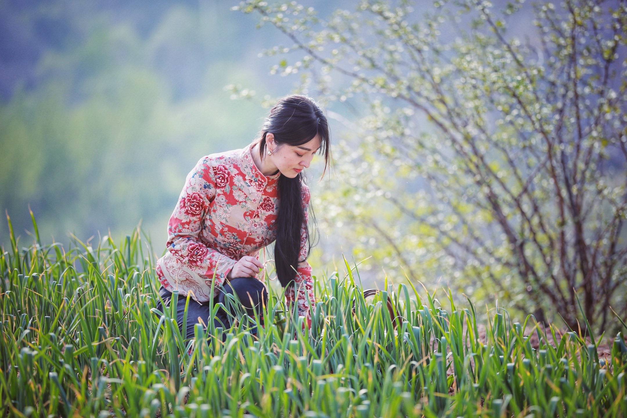 小芳(三)