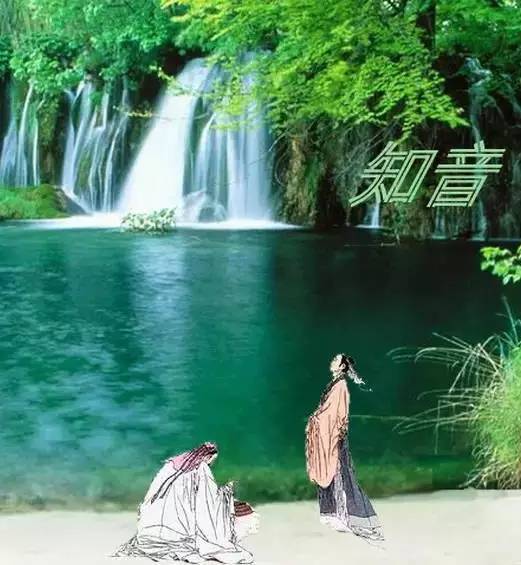 一茶一书一知己