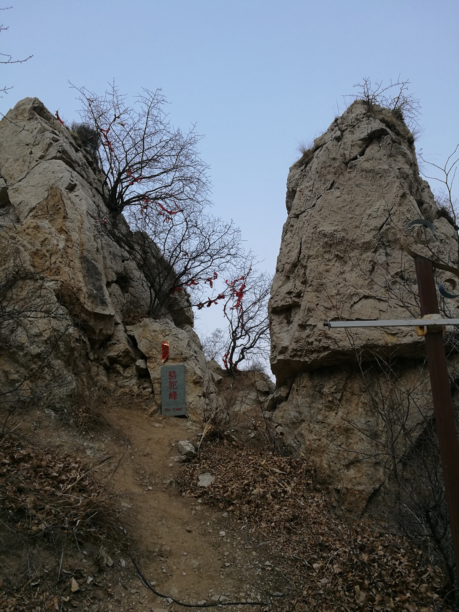 出游鸡鸣山