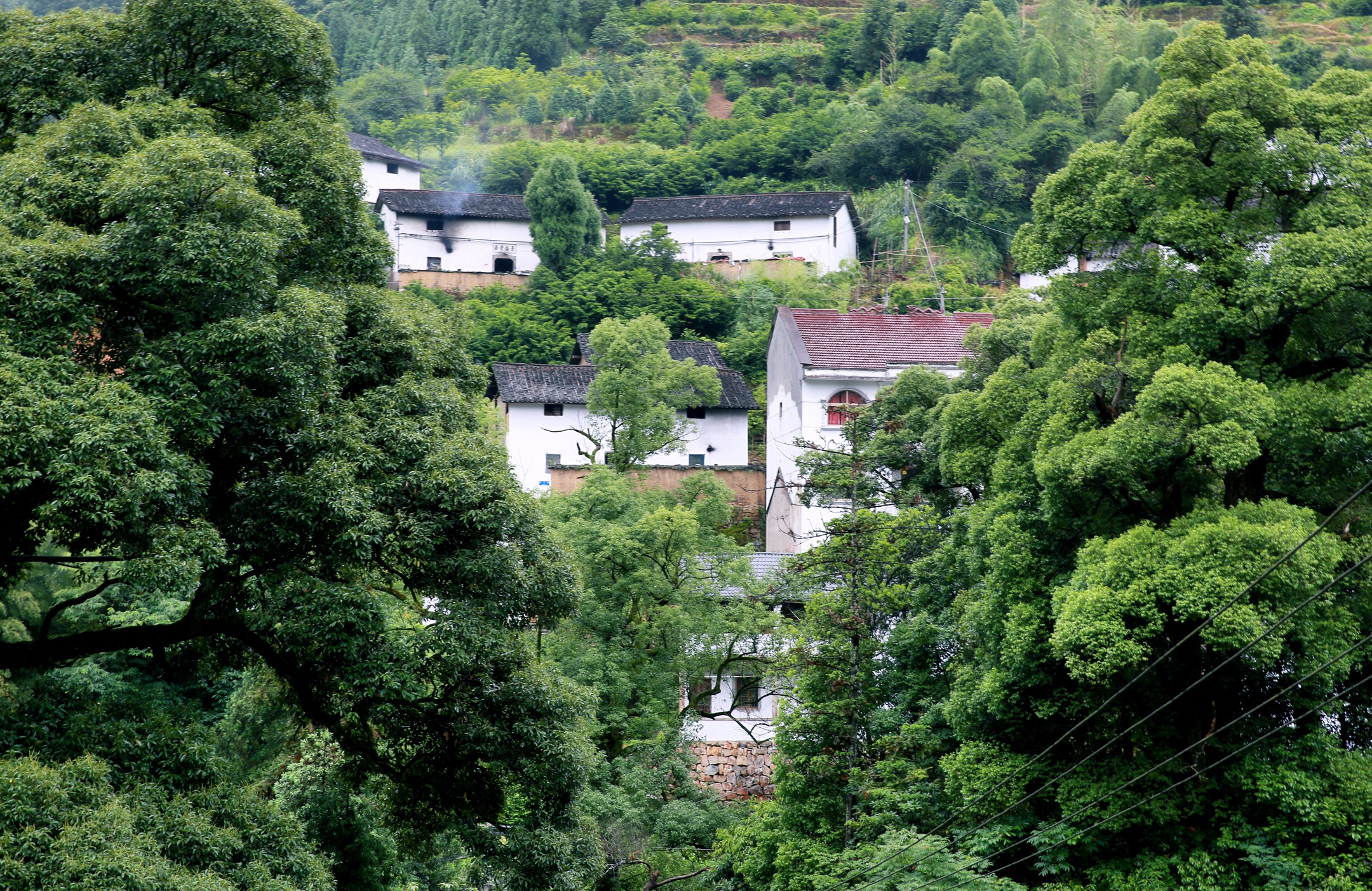 《美丽山村待君来》革命老区塔石乡上南坑村行记