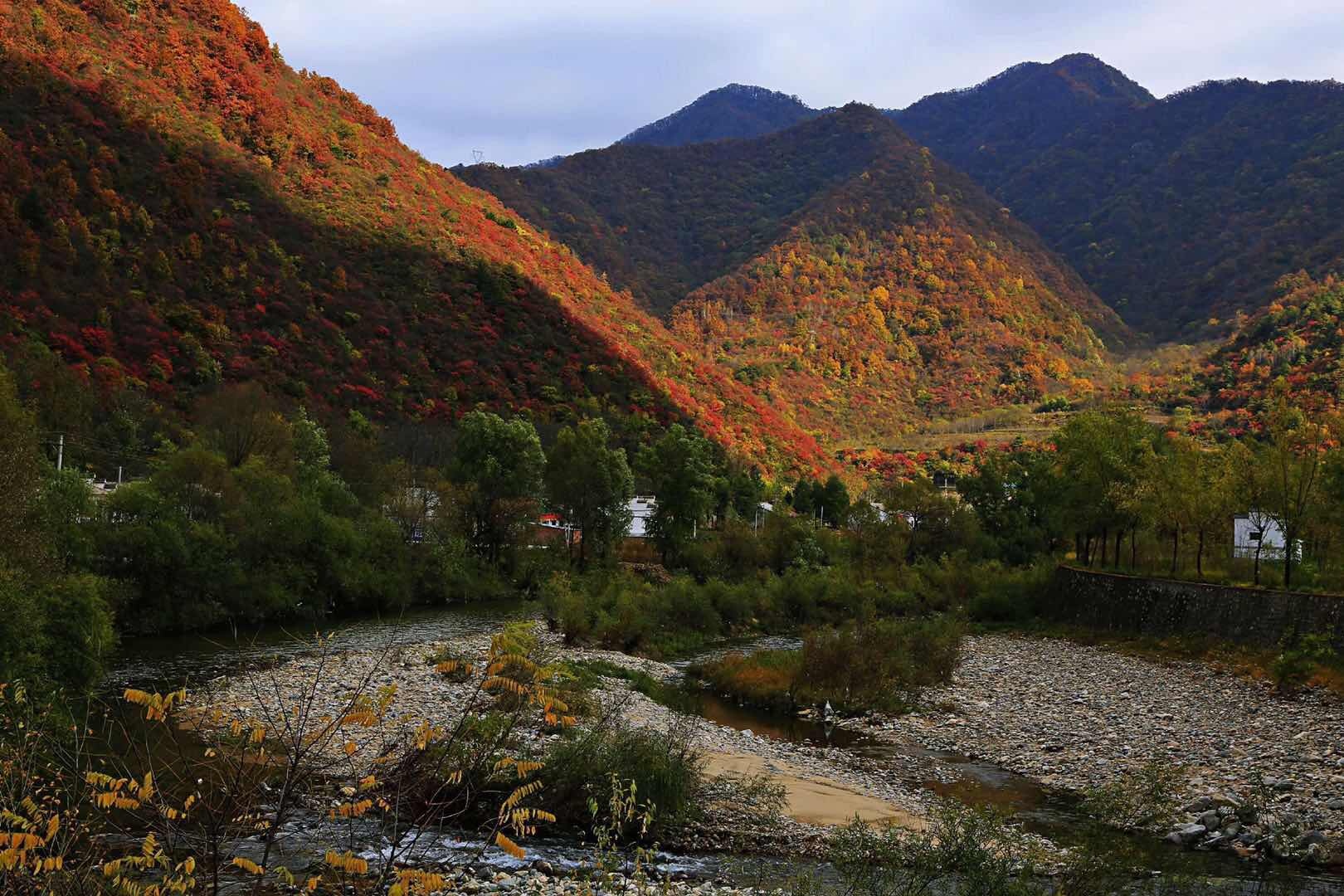 秦岭颂