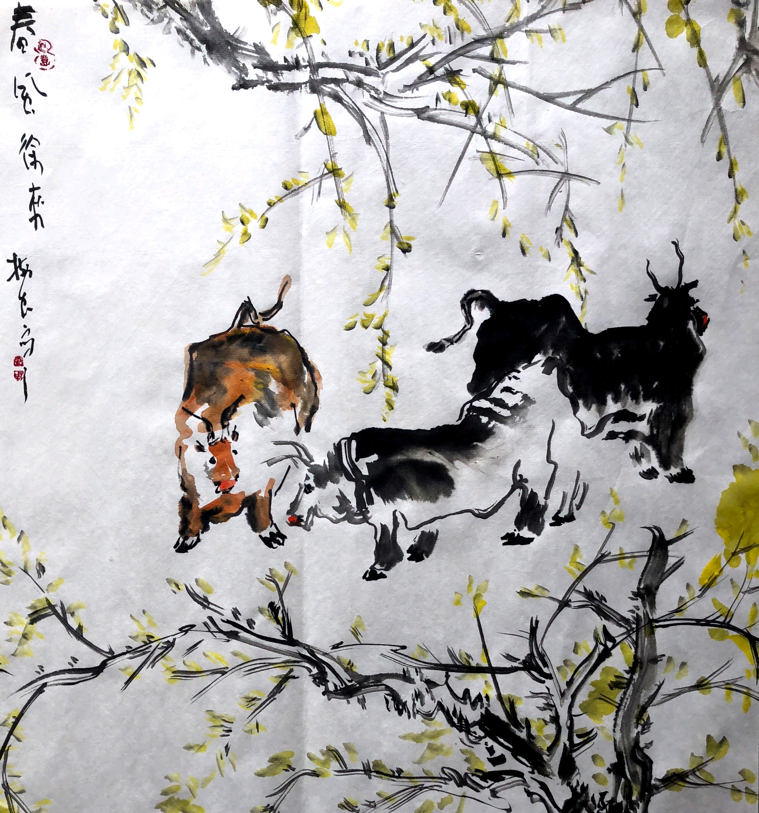 王树忠|新征程 新开拓