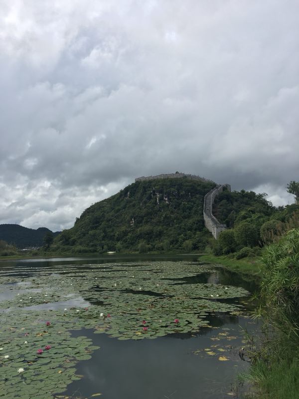 《梦里梦外是江南》作者:阿紫诵读:秀秀摄影:小凤