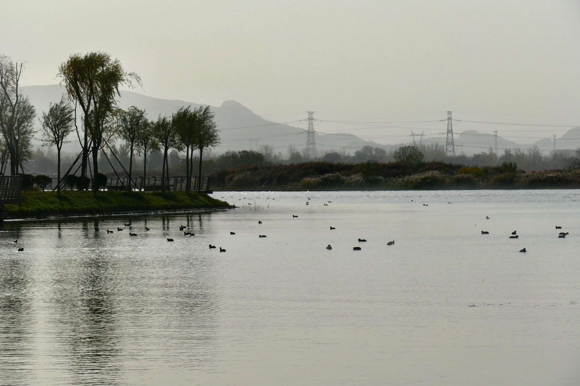 泰安汶河湿地公园,美景如画