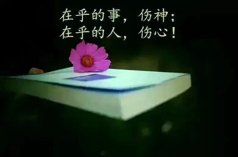 懂你的人不用解释,不懂你的人让他有多远滚多远.
