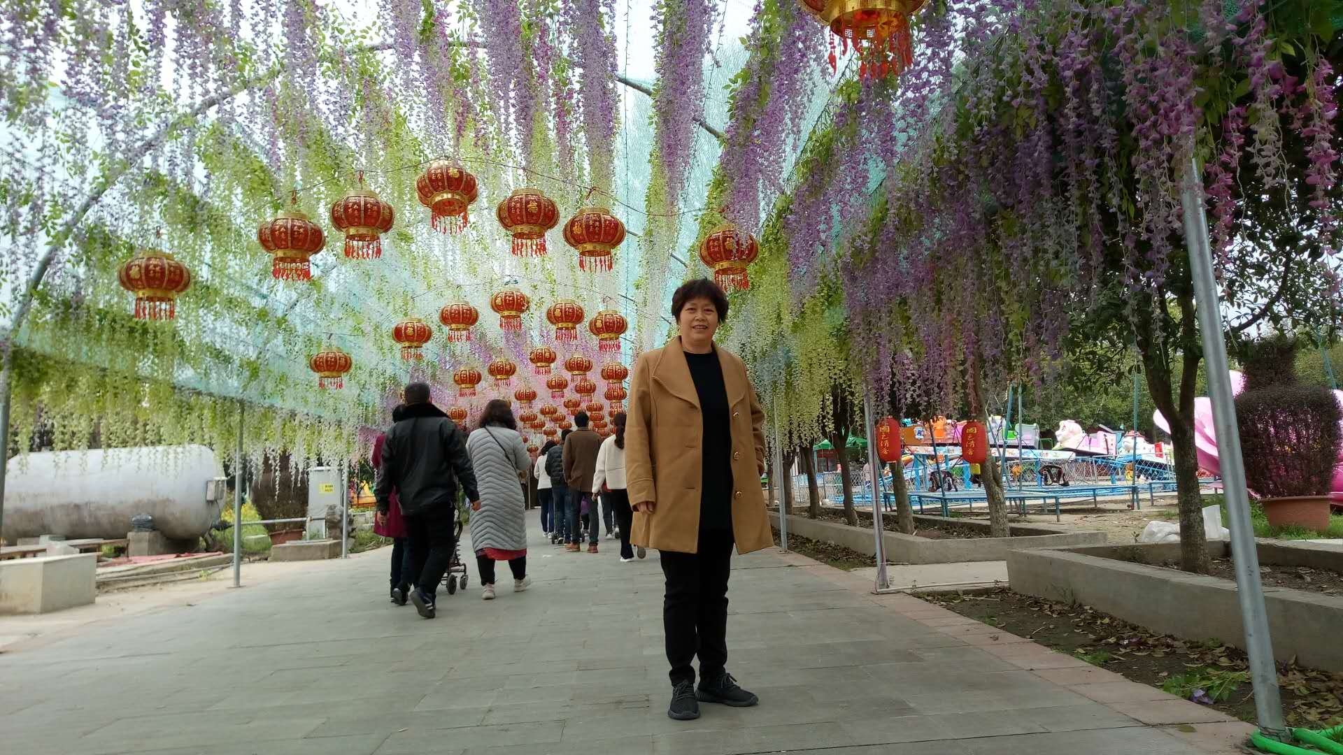 南阳中国月季园赏花