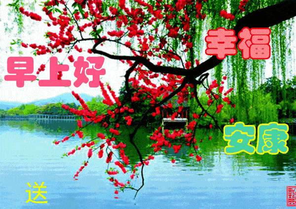 己亥年 【猪年】 甲戌月 庚子日,宜:开光 针灸 会亲友 启攒 安葬  忌