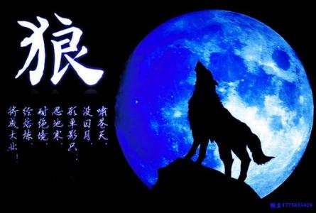 孤狼 作者:钓鱼哥