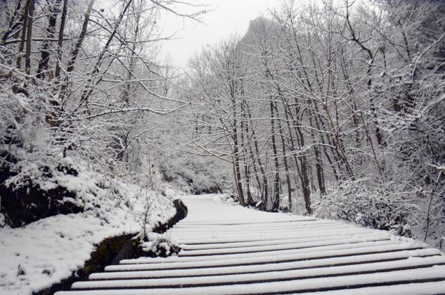 唯美意境大自然雪花