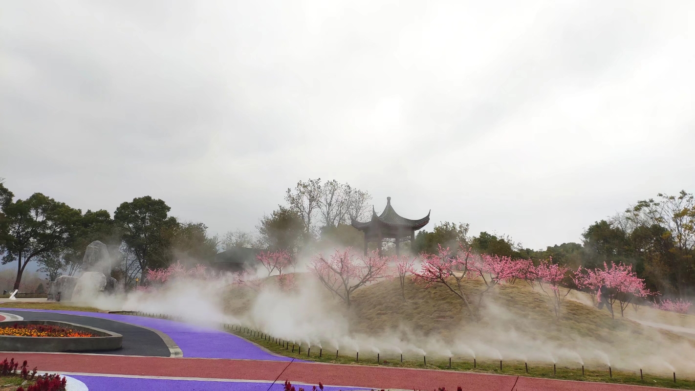 桃花岛一一启音高三冬游的活动