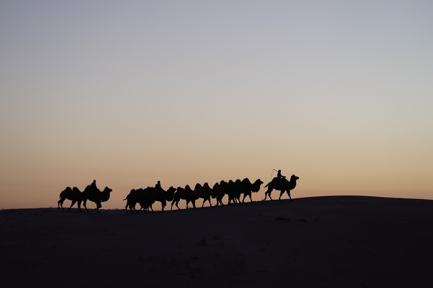 大漠黄沙,白毛风,骆驼和怪柳是奈曼永恒的主题.