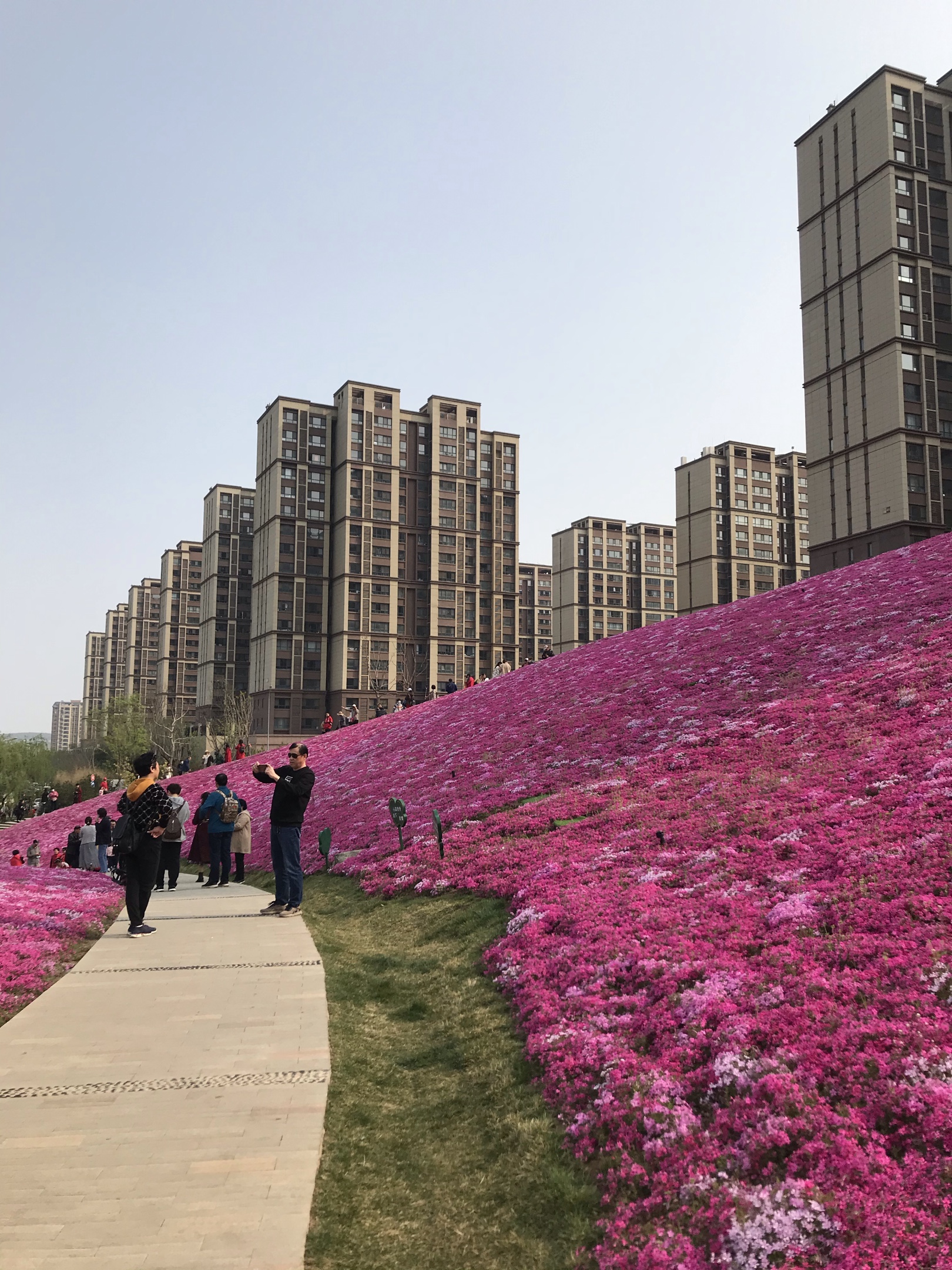 济南网红打卡地鼎秀家园