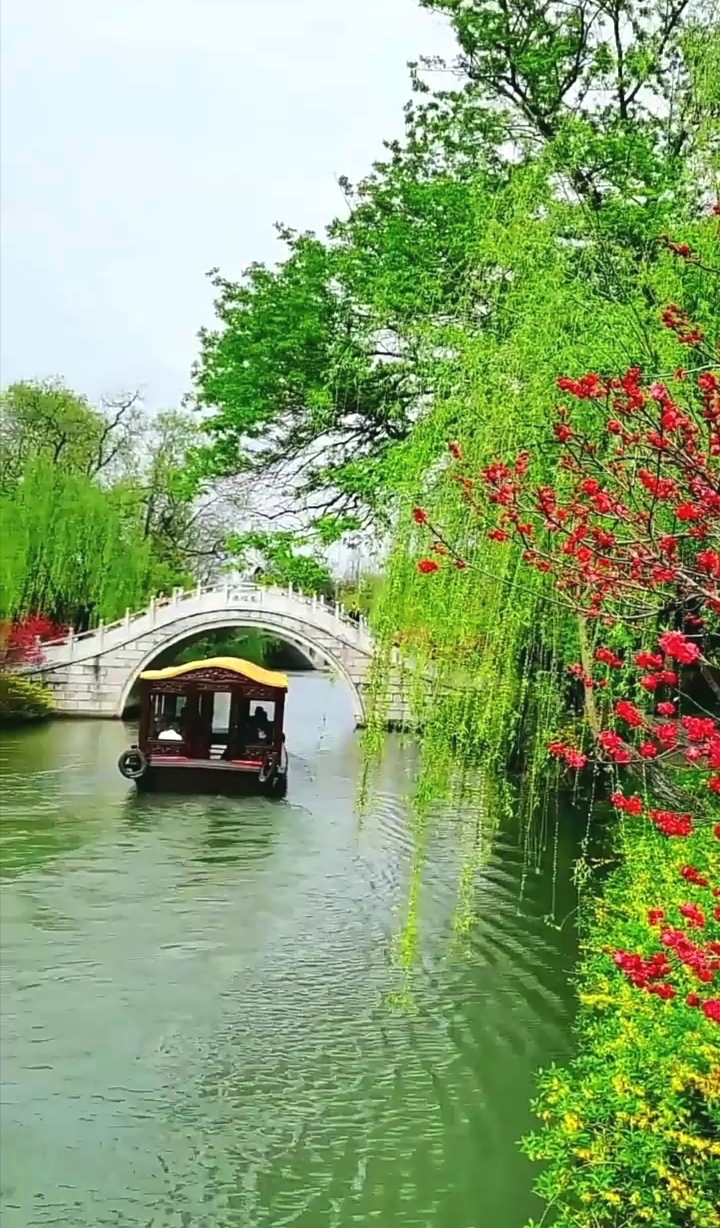 七律  杏花春雨江南