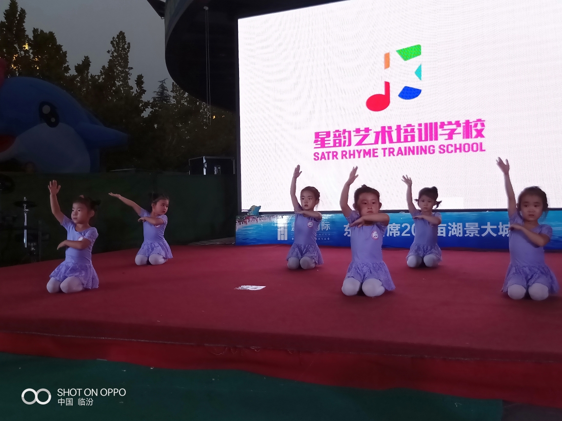 热烈祝贺星韵艺术培训学校暑期学习部分学员汇报表演圆满成功!