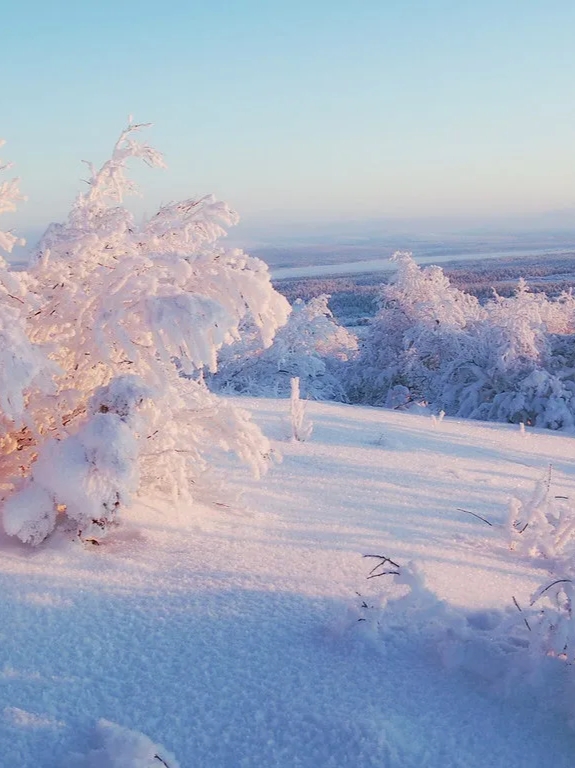 雪· 冬季里的精灵