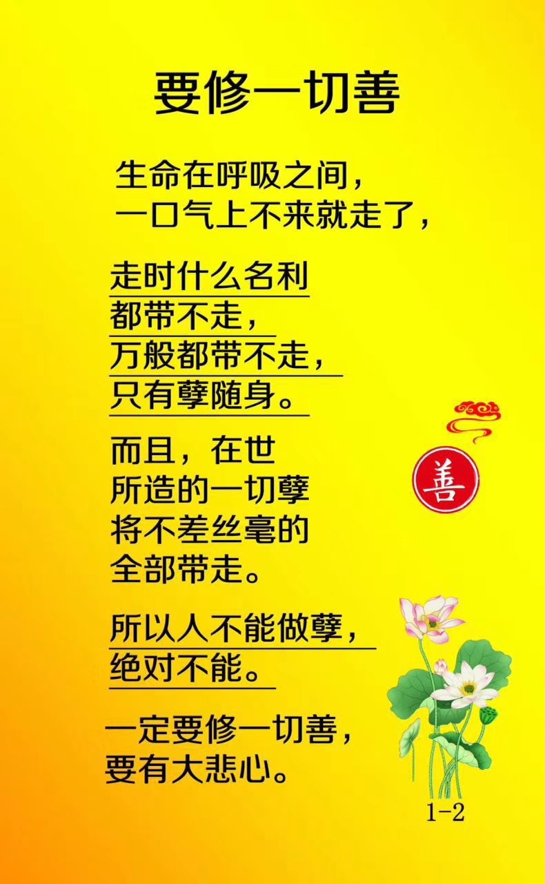 禅心慧语