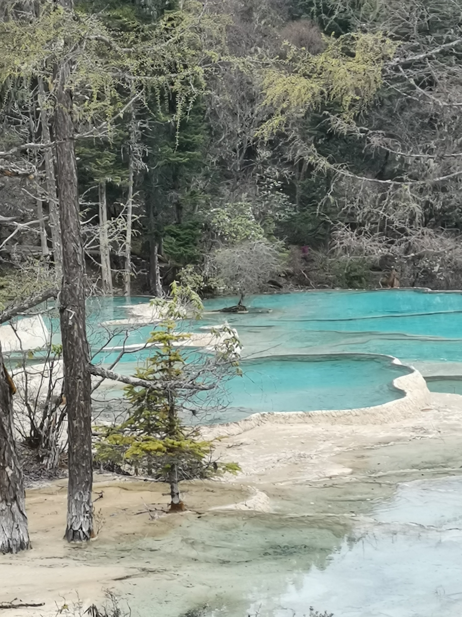 资源景区地质旅游信息世界遗产评价评选理由四川黄龙黄龙风景名胜区