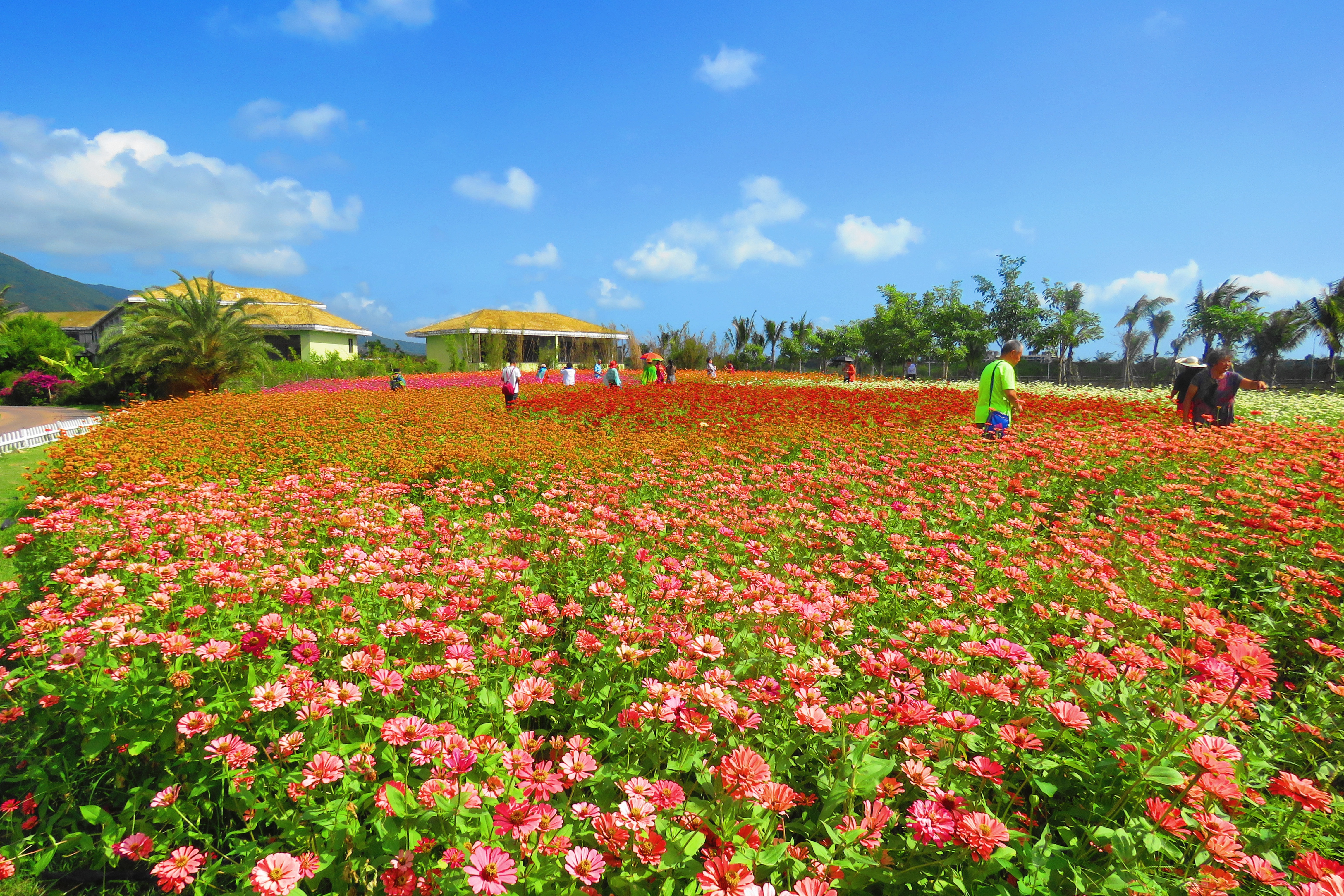 花花世界玫瑰谷—海南行之九