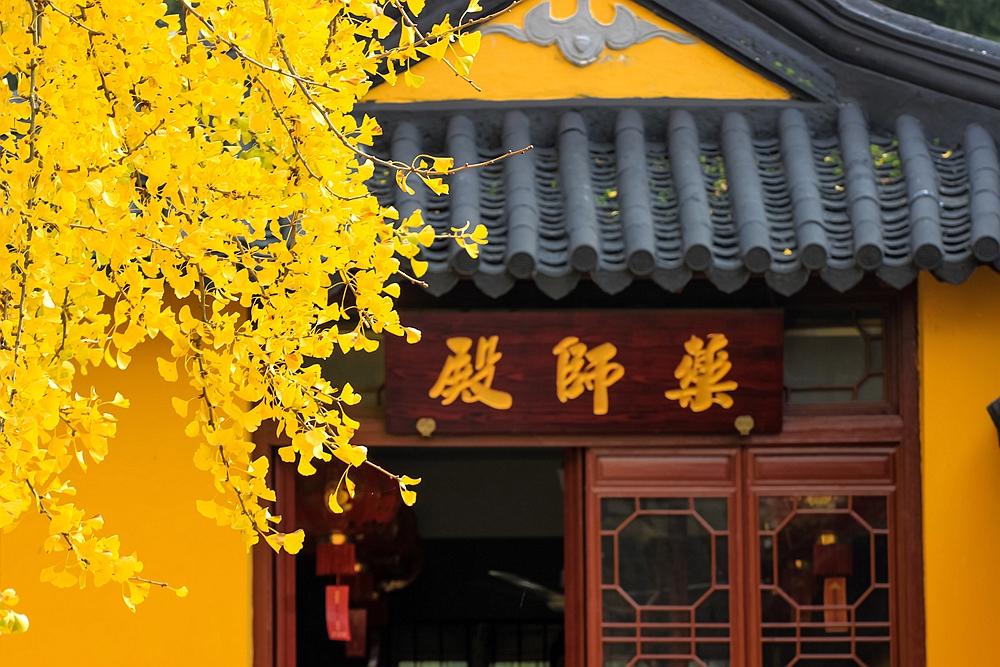 颐浩禅寺,曾经的江南最牛寺院,南宋一棵银杏美了700多年