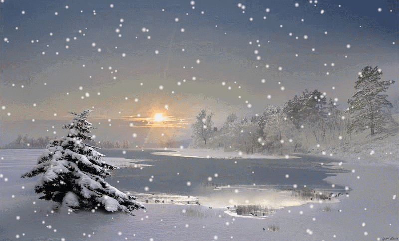 我在雪中看见了你
