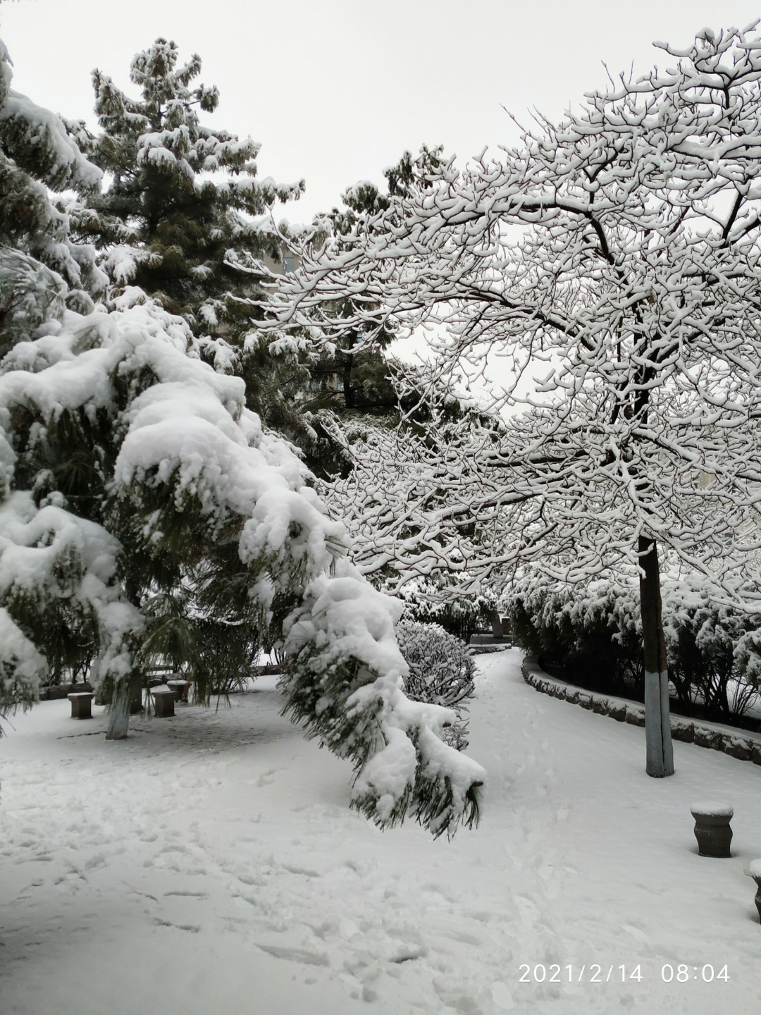 凝雨〕独有凝雨姿,贞晼而无殉—沈约《雪赞》