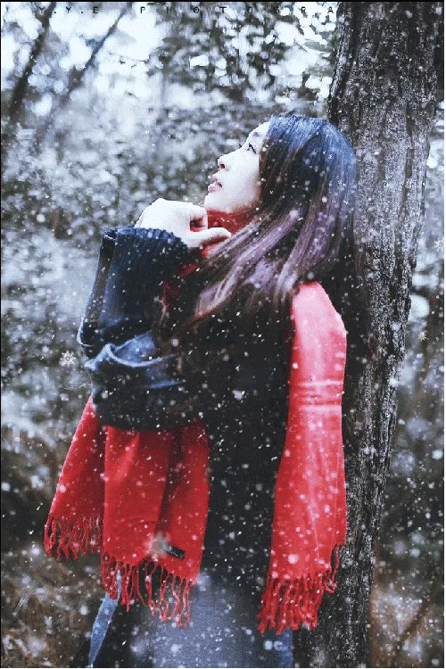 雪花飘落,是一次生命的洗礼