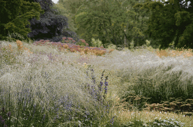 22疑似银河落九天惊涛掀起千重浪气势如虹吞河山大海汹涌波浪翻大海颂