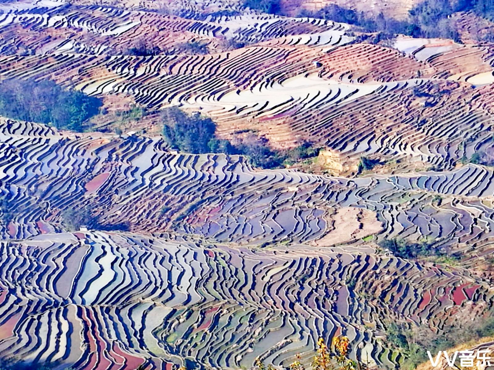 大地上的版画与彩绘 云南元阳梯田与东川红土地奇观