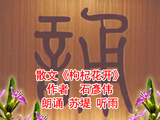 梦想舞台|枸杞花开|作者:石彦伟|背诵表演:苏堤&听雨
