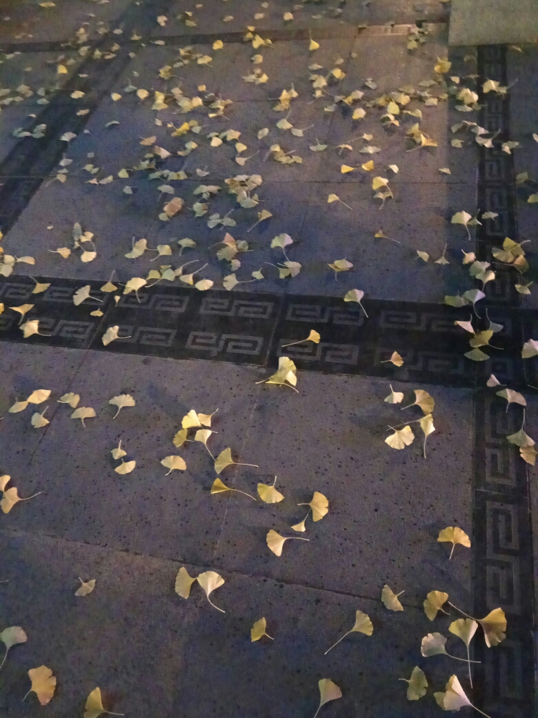 秋风落叶